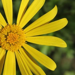 Meet your Posher, Paige